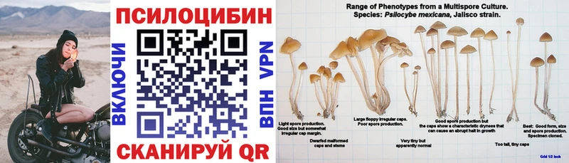 гидра зеркало Белогорск Псилоцибиновые грибы Psilocybe